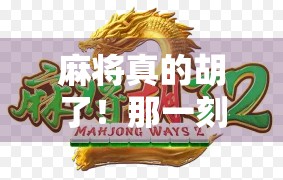 麻将真的胡了!那一刻,我悟了人生最硬的理 麻将真的胡了!那一刻,我悟了人生最硬的理